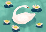 Roger la Borde Swans Chic Notecard Box featuring artwork by Katie Vernon